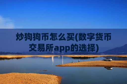 炒狗狗币怎么买(数字货币交易所app的选择)
