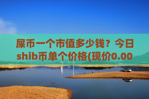 屎币一个市值多少钱?今日shib币单个价格(现价0.00022855元)