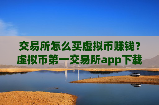 交易所怎么买虚拟币赚钱?虚拟币第一交易所app下载咋样