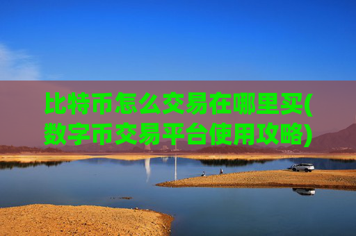 比特币怎么交易在哪里买(数字币交易平台使用攻略)