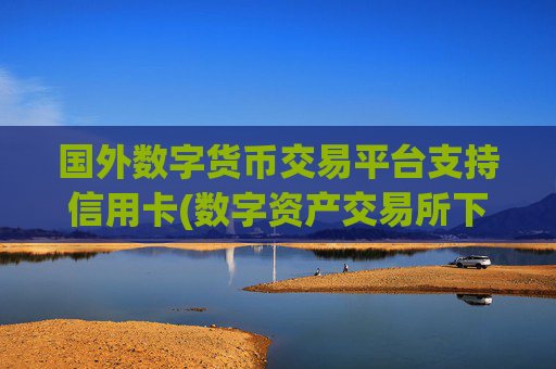 国外数字货币交易平台支持信用卡(数字资产交易所下载指南)