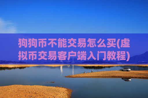 狗狗币不能交易怎么买(虚拟币交易客户端入门教程)