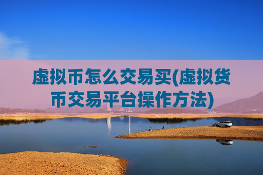 虚拟币怎么交易买(虚拟货币交易平台操作方法)