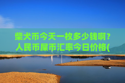 柴犬币今天一枚多少钱啊？人民币屎币汇率今日价格(现价0.00015778元)