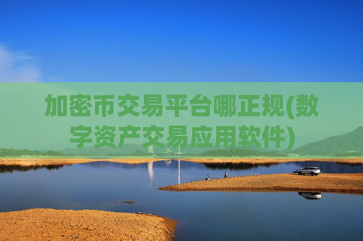 加密币交易平台哪正规(数字资产交易应用软件)