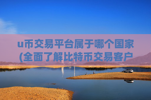 u币交易平台属于哪个国家(全面了解比特币交易客户端)