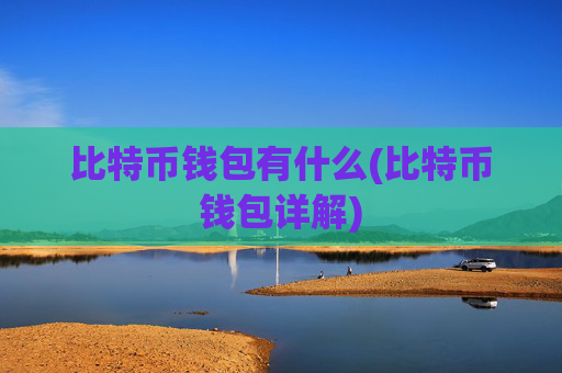 比特币钱包有什么(比特币钱包详解)
