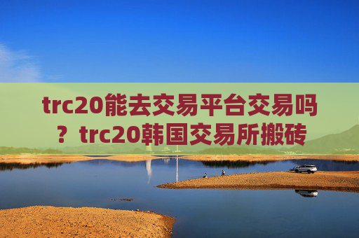 trc20能去交易平台交易吗?trc20韩国交易所搬砖
