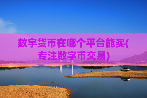 数字货币在哪个平台能买(专注数字币交易)