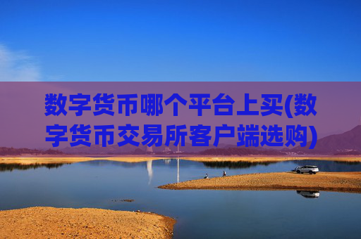 数字货币哪个平台上买(数字货币交易所客户端选购)