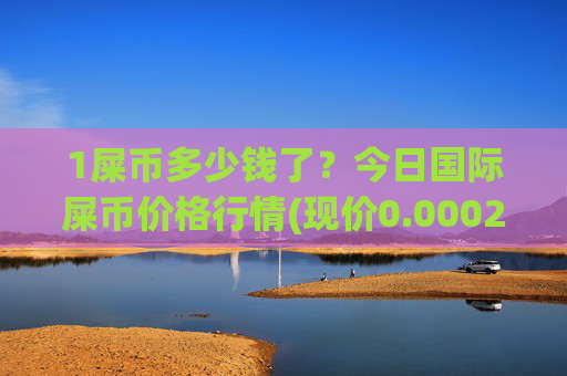 1屎币多少钱了?今日国际屎币价格行情(现价0.00023028元)