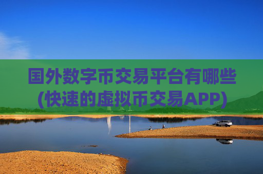 国外数字币交易平台有哪些(快速的虚拟币交易APP)