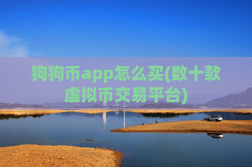 狗狗币app怎么买(数十款虚拟币交易平台)