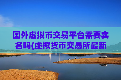 国外虚拟币交易平台需要实名吗(虚拟货币交易所最新排名)