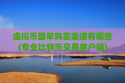 虚拟币最早购买渠道有哪些(专业比特币交易客户端)