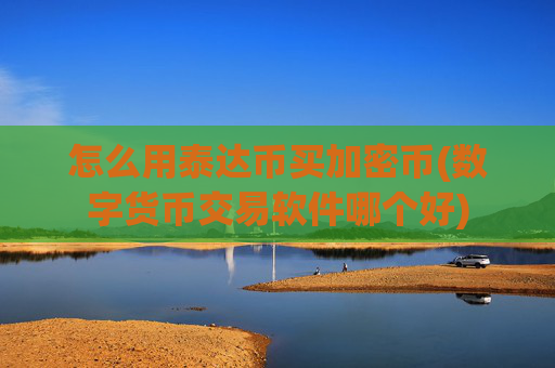 怎么用泰达币买加密币(数字货币交易软件哪个好)