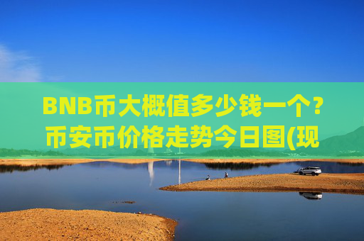 BNB币大概值多少钱一个?币安币价格走势今日图(现价4784.83元)