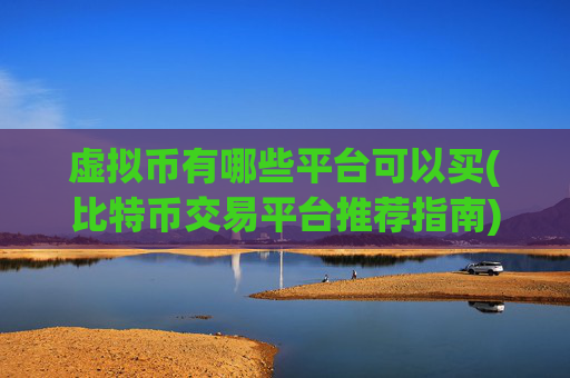 虚拟币有哪些平台可以买(比特币交易平台推荐指南)