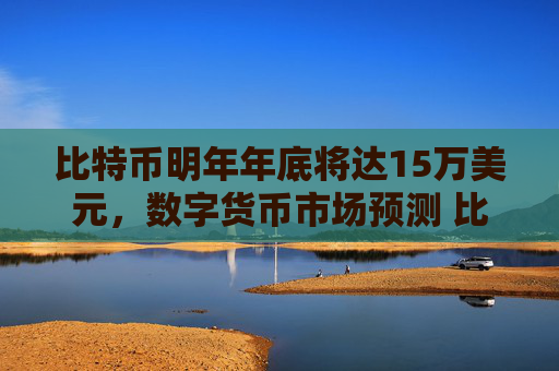 比特币明年年底将达15万美元,数字货币市场预测 比特币价格飙升
