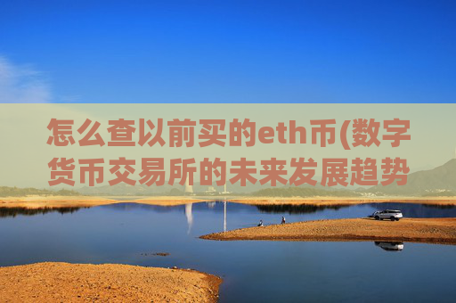 怎么查以前买的eth币(数字货币交易所的未来发展趋势)
