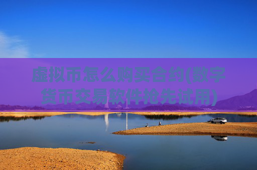 虚拟币怎么购买合约(数字货币交易软件抢先试用)