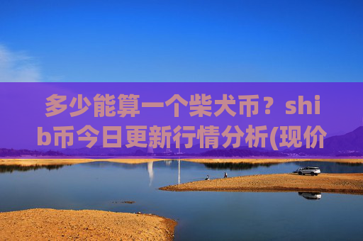 多少能算一个柴犬币？shib币今日更新行情分析(现价0.00022884元)