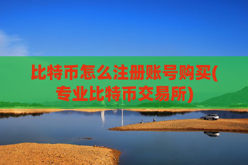 比特币怎么注册账号购买(专业比特币交易所)