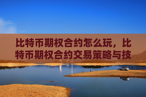 比特币期权合约怎么玩,比特币期权合约交易策略与技巧