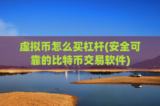 虚拟币怎么买杠杆(安全可靠的比特币交易软件)