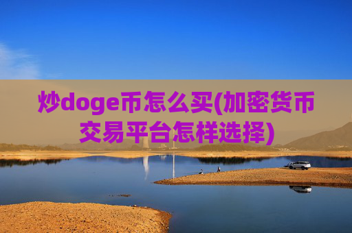 炒doge币怎么买(加密货币交易平台怎样选择)