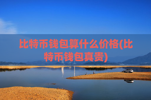 比特币钱包算什么价格(比特币钱包真贵)