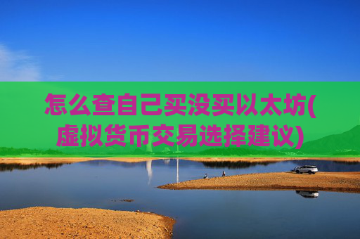 怎么查自己买没买以太坊(虚拟货币交易选择建议)