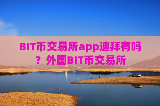 BIT币交易所app迪拜有吗?外国BIT币交易所