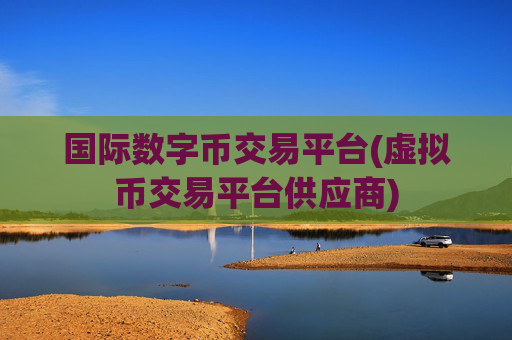 国际数字币交易平台(虚拟币交易平台供应商)