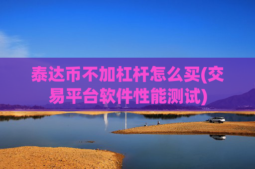 泰达币不加杠杆怎么买(交易平台软件性能测试)