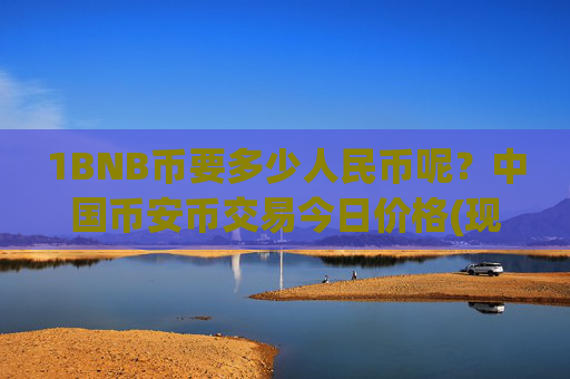 1BNB币要多少人民币呢?中国币安币交易今日价格(现价4793.37元)