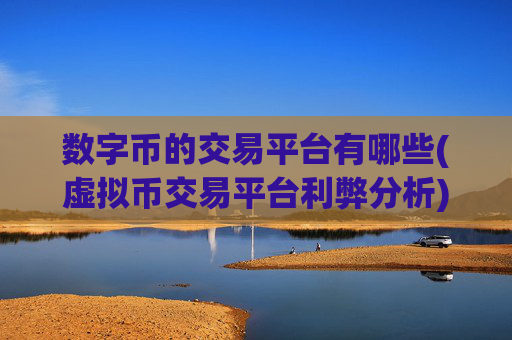 数字币的交易平台有哪些(虚拟币交易平台利弊分析)