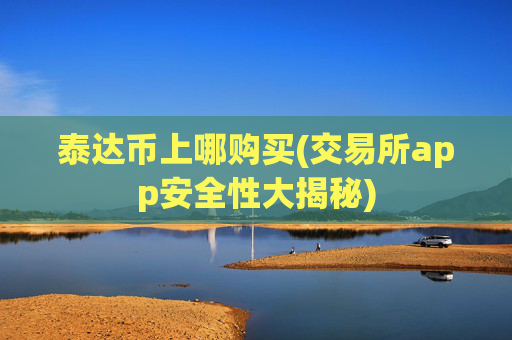 泰达币上哪购买(交易所app安全性大揭秘)