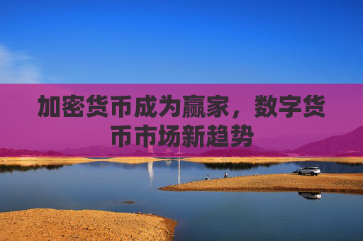 加密货币成为赢家,数字货币市场新趋势