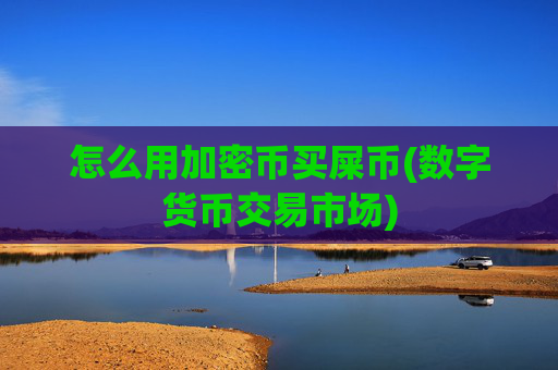 怎么用加密币买屎币(数字货币交易市场)