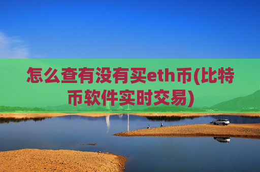 怎么查有没有买eth币(比特币软件实时交易)
