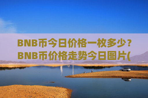 BNB币今日价格一枚多少？BNB币价格走势今日图片(现价5293.07元)