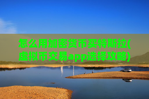 怎么用加密货币买特斯拉(虚拟币交易app选择攻略)