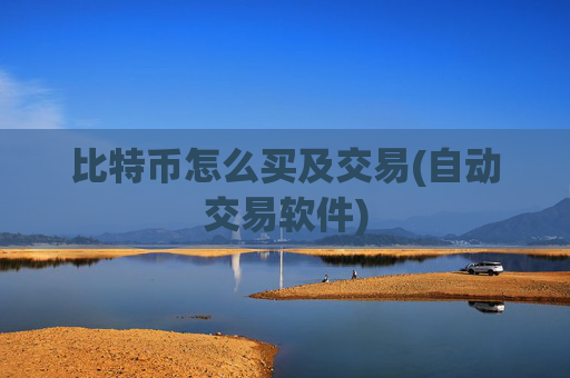 比特币怎么买及交易(自动交易软件)