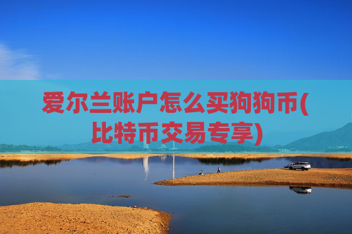 爱尔兰账户怎么买狗狗币(比特币交易专享)