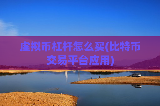 虚拟币杠杆怎么买(比特币交易平台应用)