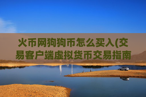 火币网狗狗币怎么买入(交易客户端虚拟货币交易指南)