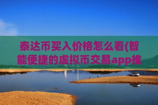 泰达币买入价格怎么看(智能便捷的虚拟币交易app推荐)