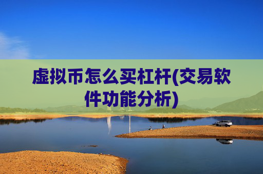 虚拟币怎么买杠杆(交易软件功能分析)