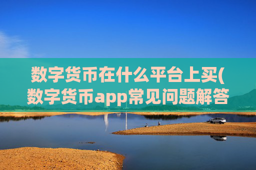 数字货币在什么平台上买(数字货币app常见问题解答)